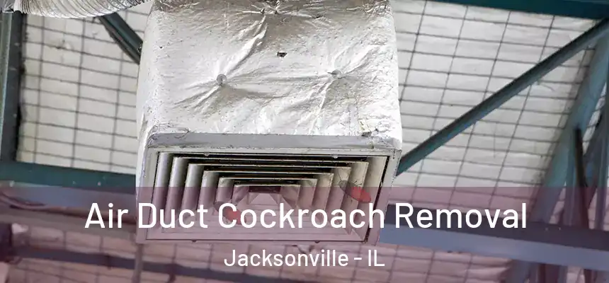  Air Duct Cockroach Removal Jacksonville - IL