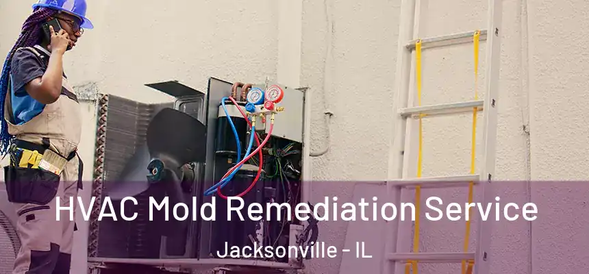  HVAC Mold Remediation Service Jacksonville - IL