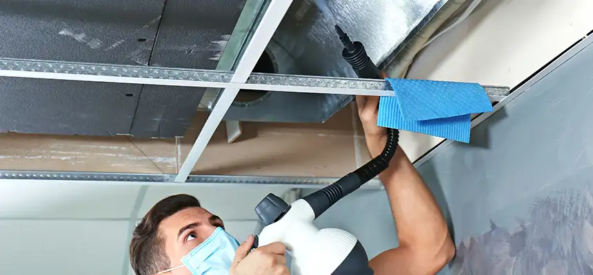 Our Air Duct Rodent Removal Services in Jacksonville, IL