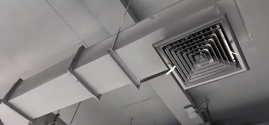 Our Pest Removal From Ducts Services in Jacksonville, IL