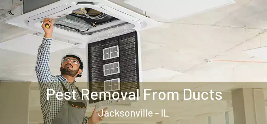 Pest Removal From Ducts Jacksonville - IL