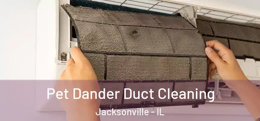  Pet Dander Duct Cleaning Jacksonville - IL