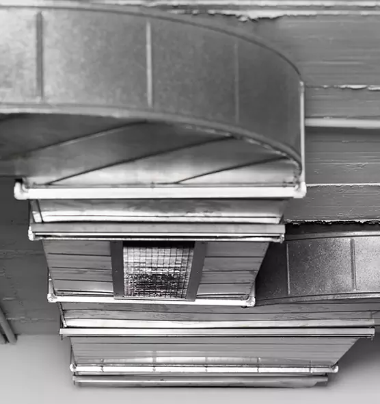 Professional Air Duct Pet Hair Removal in Jacksonville, IL