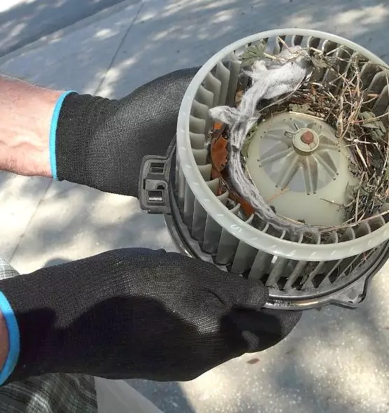 About Air Duct Rat Removal in Jacksonville, IL