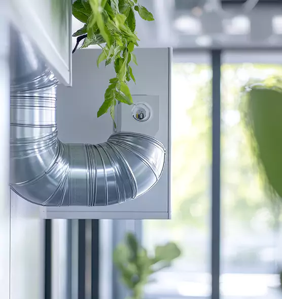 Professional Eco-Friendly Duct Cleaning Services in Jacksonville, IL
