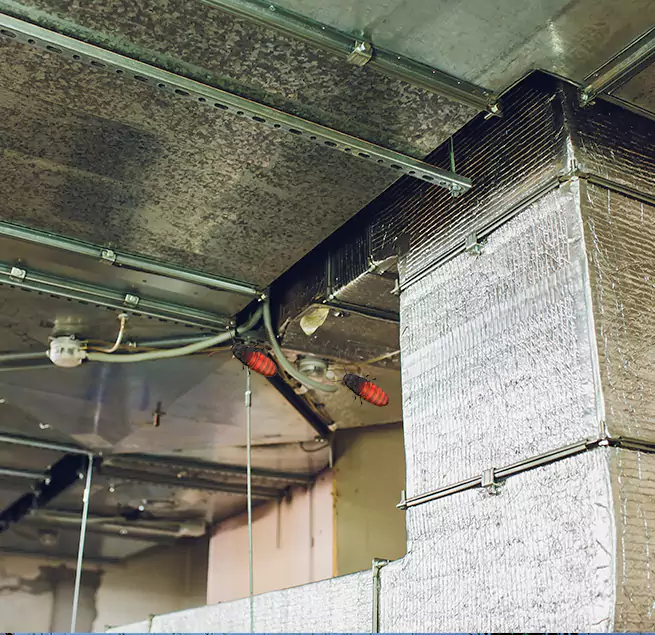 Why Homeowners & Businesses Trust Us in Jacksonville, IL?